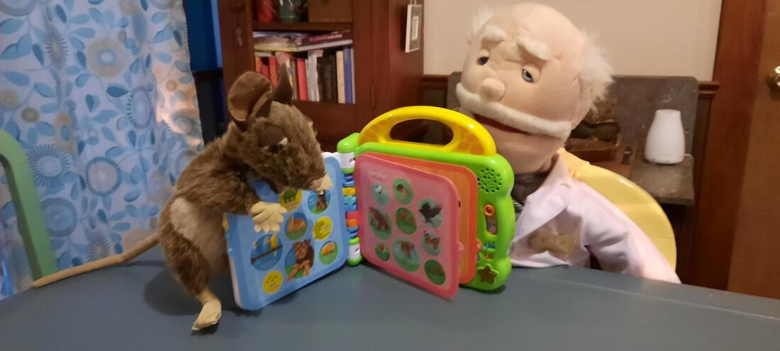 Boomer and Dr. Fizz learning about animals